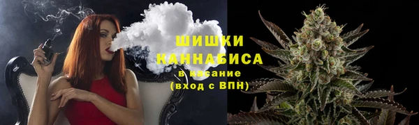 гашик Бронницы