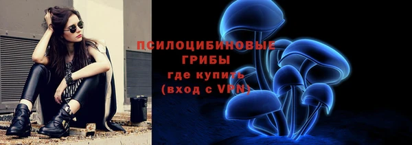гашик Бронницы