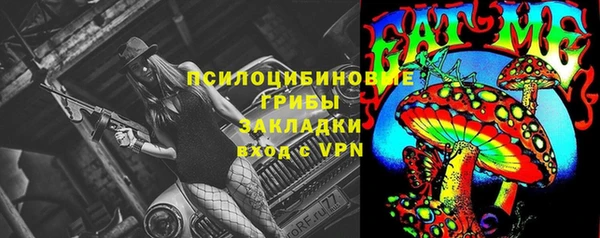 скорость Гатчина