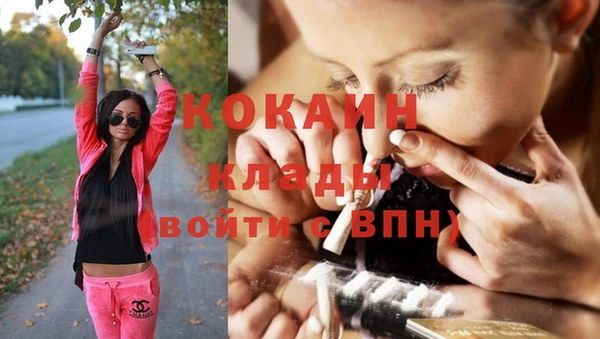 гашик Бронницы