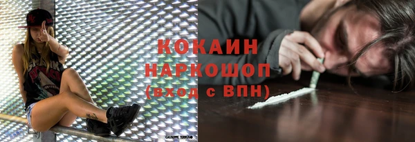 таблы Бородино