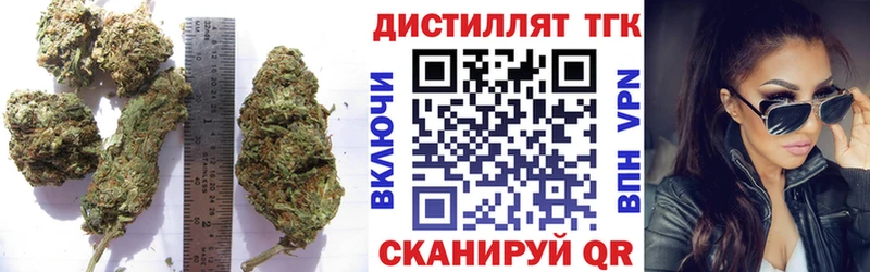 ТГК концентрат Зима