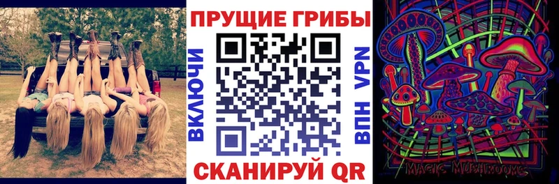 Псилоцибиновые грибы мухоморы что такое наркотик МЕГА маркетплейс Зима